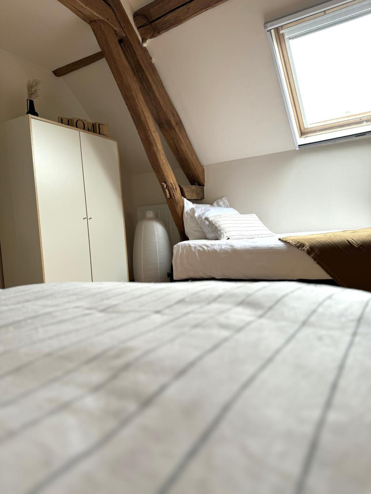 Le Moulin D Olivet Bed and Breakfast Orbigny Eksteriør billede