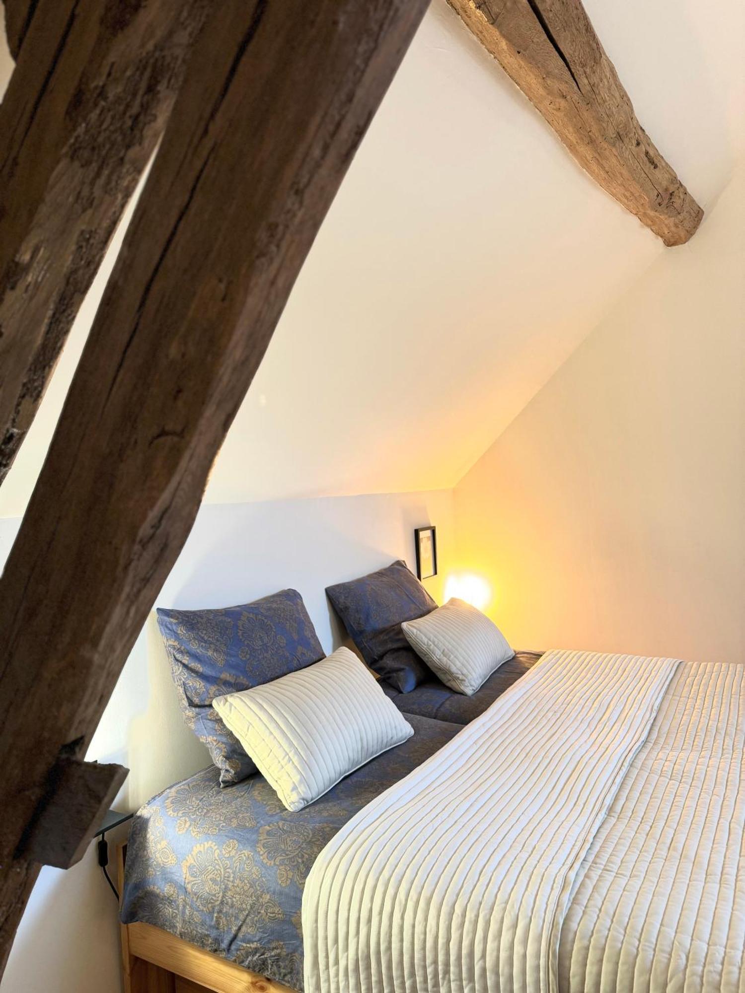 Le Moulin D Olivet Bed and Breakfast Orbigny Eksteriør billede